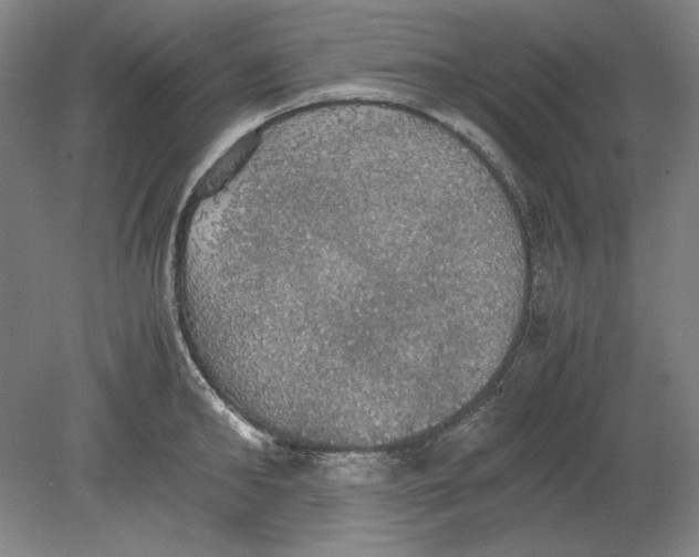 X0000080730902200701021117