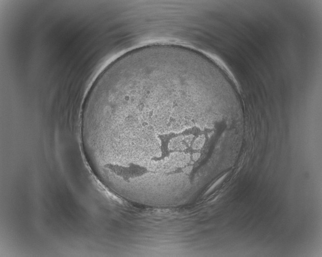 X0000080730903200701021117