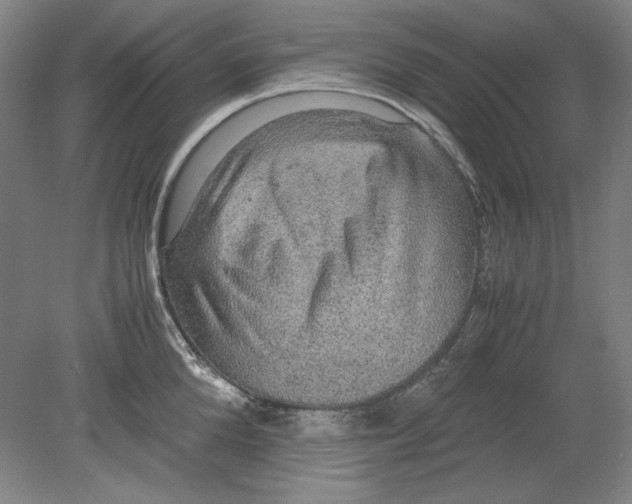 X0000080730904200701021117