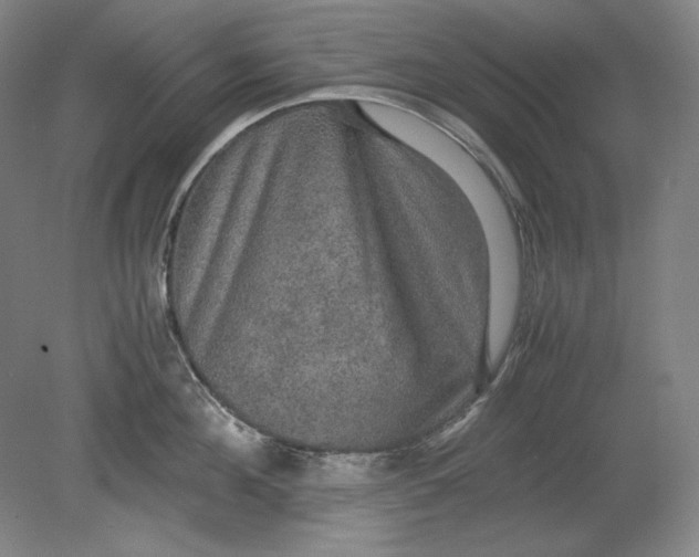 X0000080730908200701021117