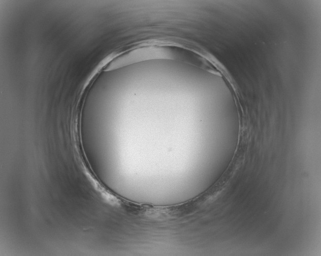 X0000080730909200701021117