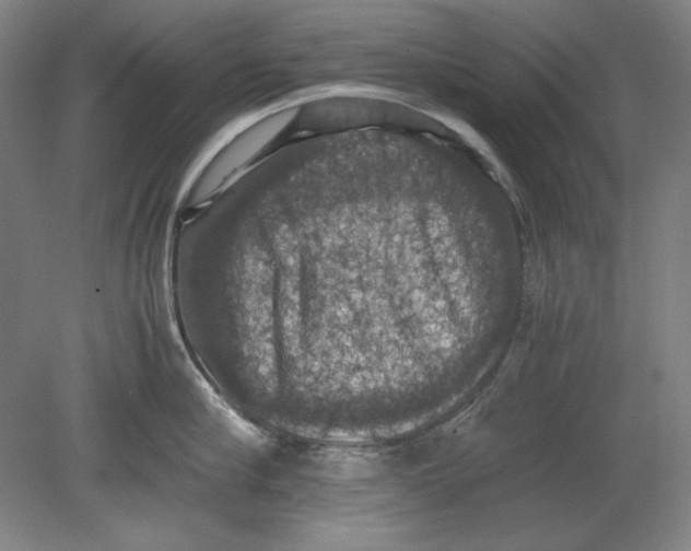 X0000080730910200701021117