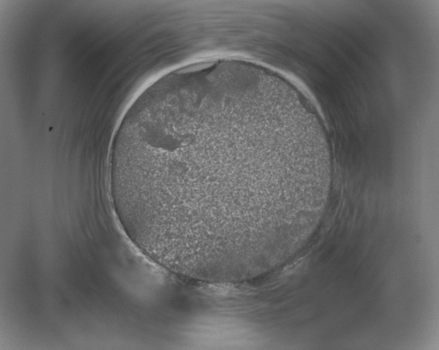 X0000080730911200701021117