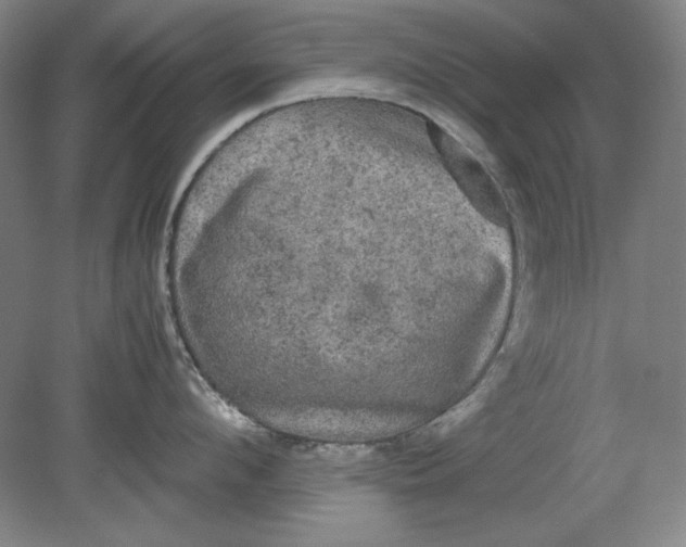 X0000080730912200701021117