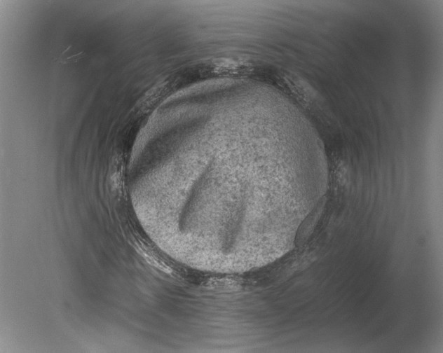 X0000080730914200701021116