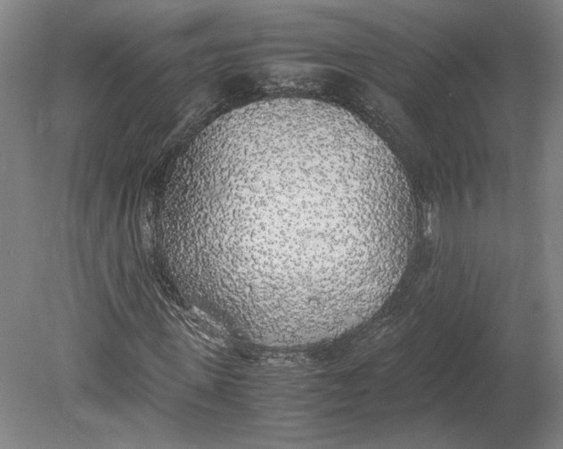 X0000080730915200701021116