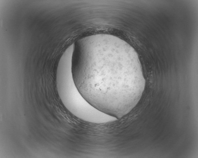 X0000080730916200701021116