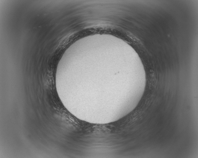 X0000080730918200701021116