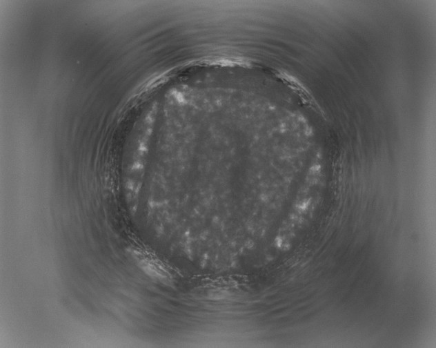 X0000080730919200701021116