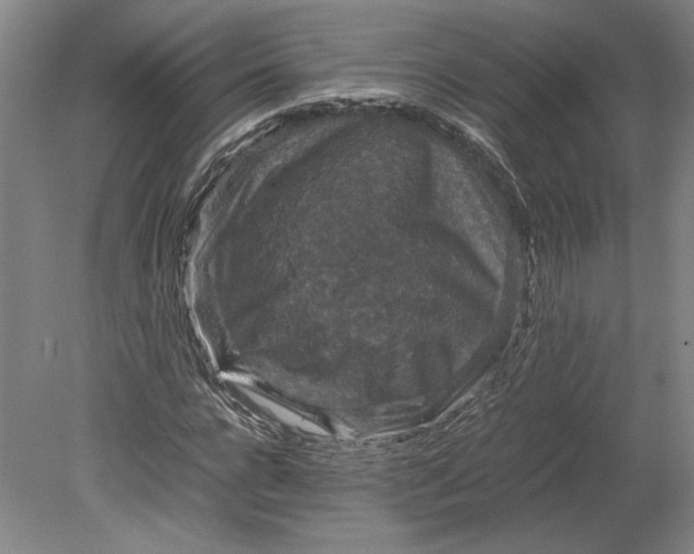 X0000080730920200701021116