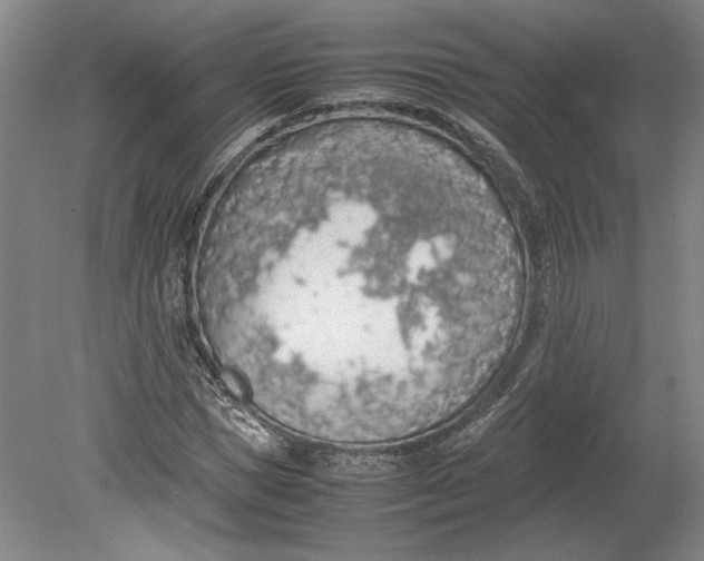 X0000080730921200701021116