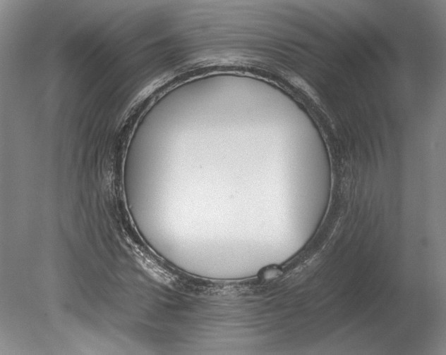 X0000080730922200701021116