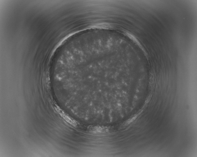 X0000080730923200701021116