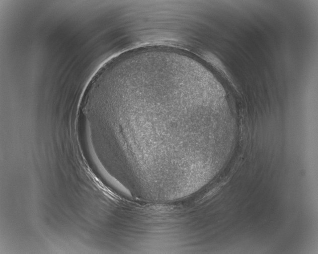 X0000080730924200701021116