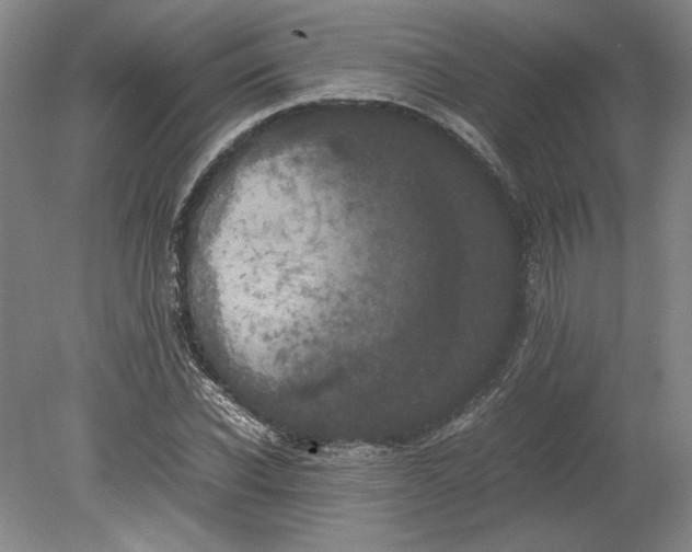 X0000080730926200701021116