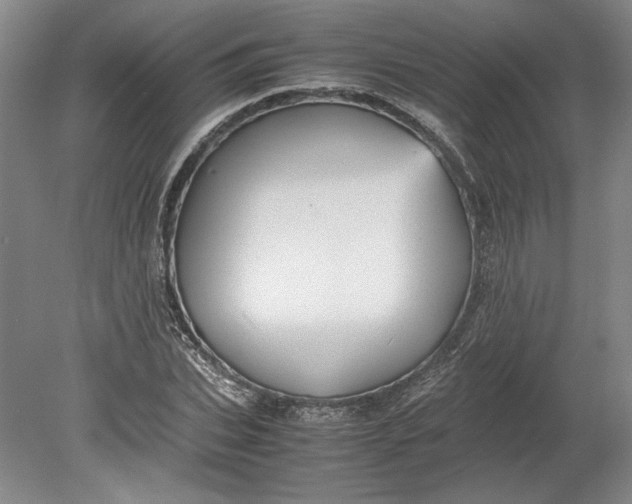 X0000080730927200701021116