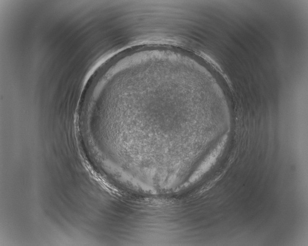 X0000080730928200701021116