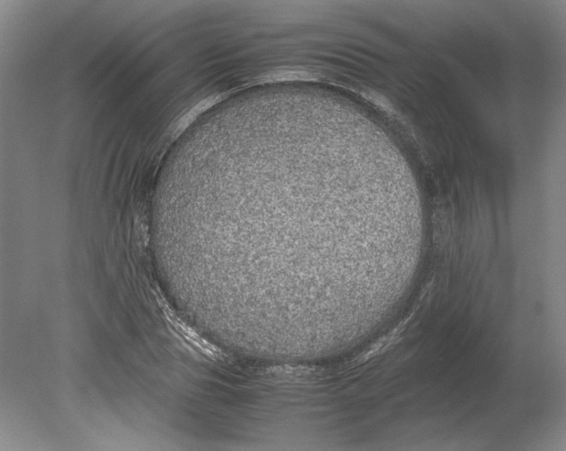 X0000080730929200701021116