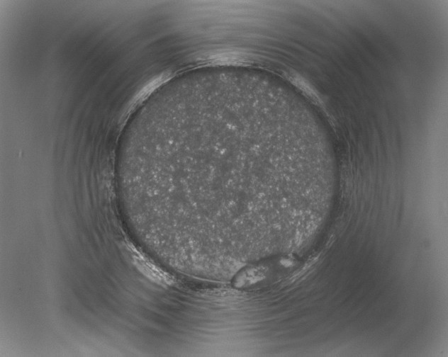 X0000080730930200701021116