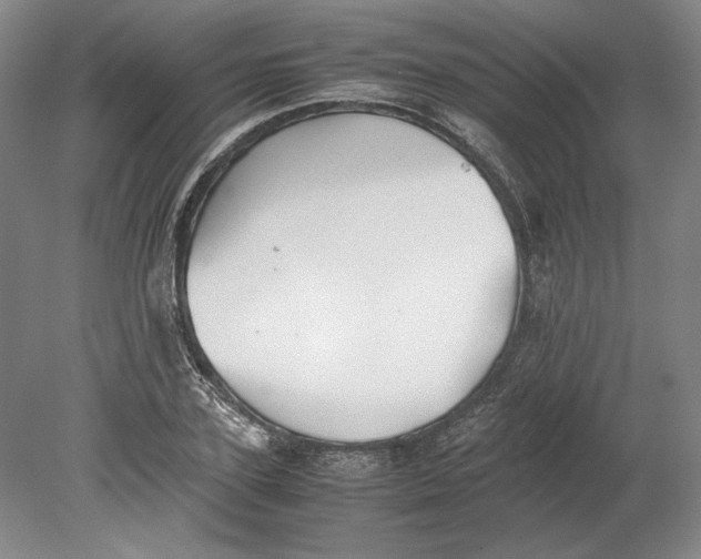 X0000080730931200701021116