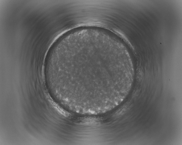 X0000080730932200701021116