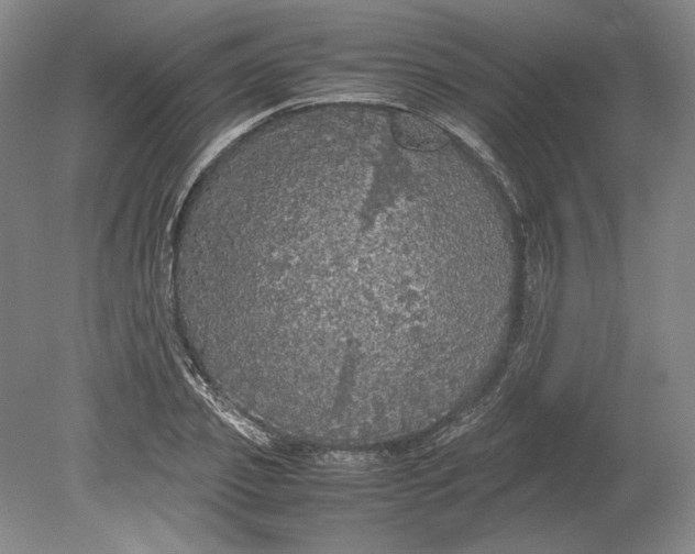 X0000080730933200701021116