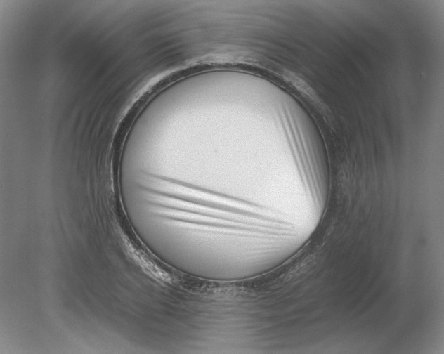 X0000080730934200701021116