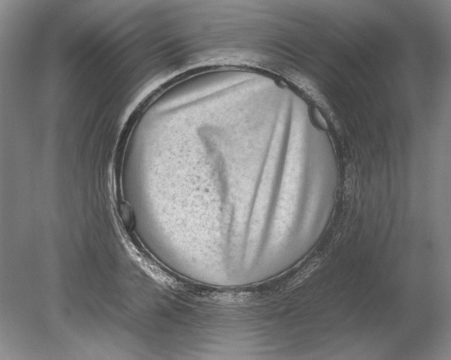 X0000080730936200701021116