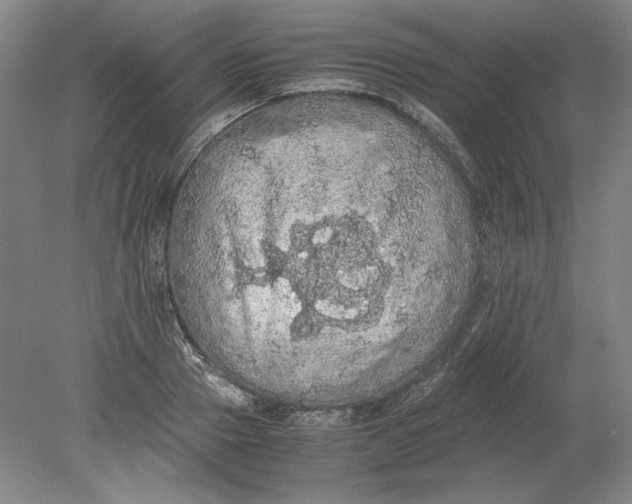 X0000080730937200701021116