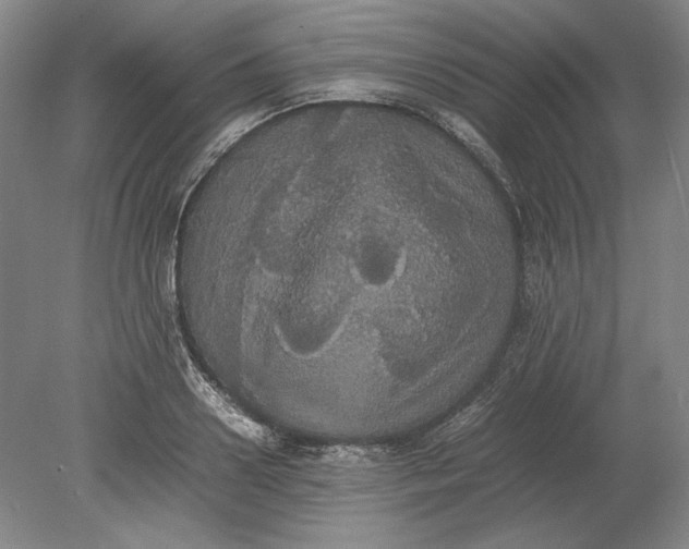 X0000080730938200701021116