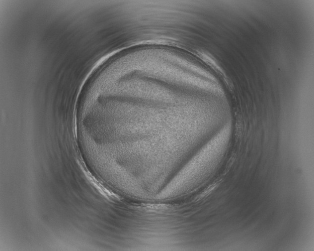 X0000080730940200701021116