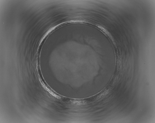 X0000080730941200701021116