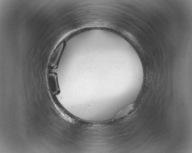 X0000080730942200701021116