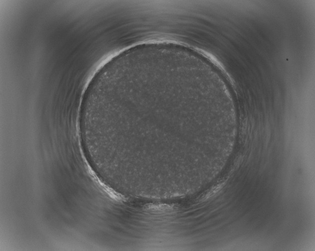 X0000080730943200701021116