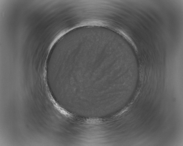 X0000080730944200701021116