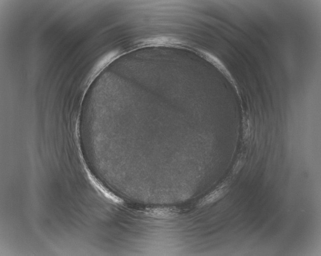 X0000080730946200701021116