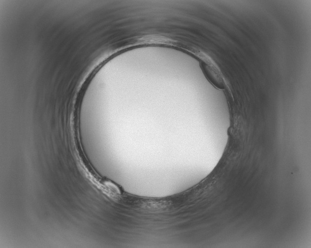 X0000080730947200701021116