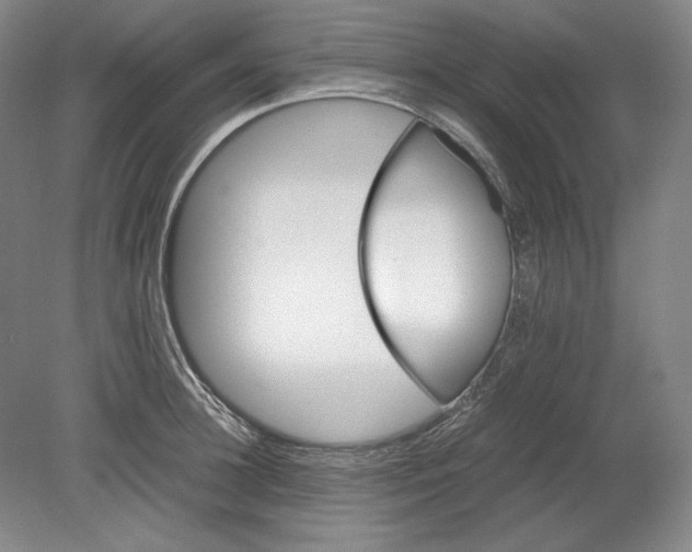 X0000080730948200701021116