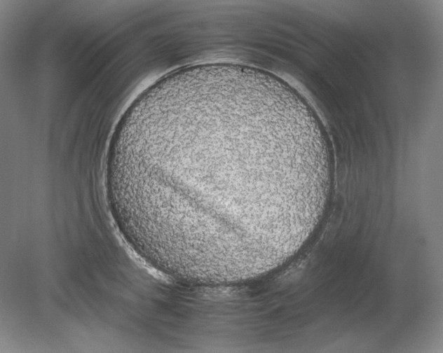 X0000080730949200701021116