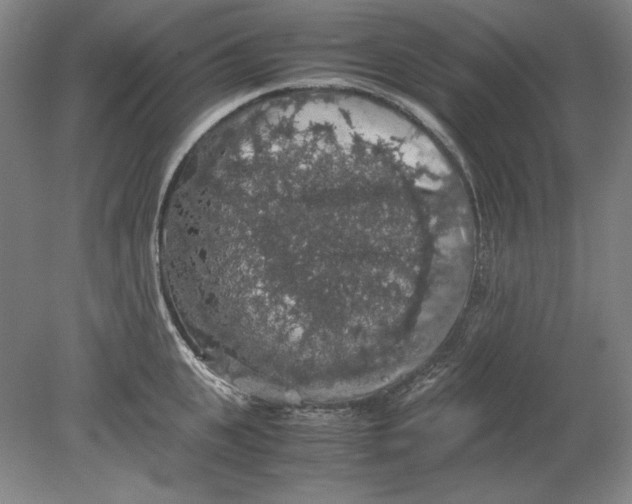 X0000080730951200701021116