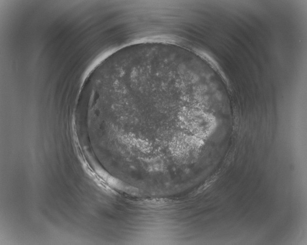 X0000080730952200701021116