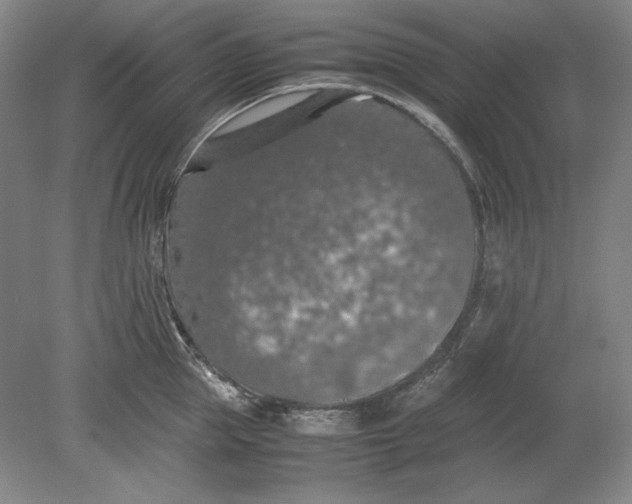 X0000080730953200701021116