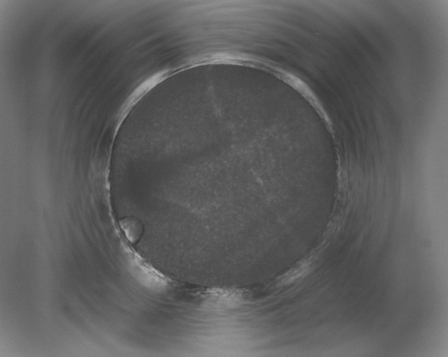 X0000080730954200701021116