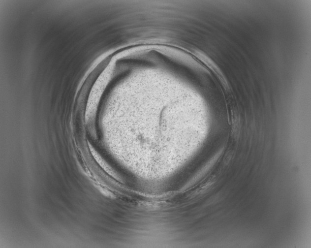 X0000080730956200701021117