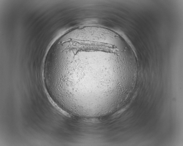 X0000080730957200701021117