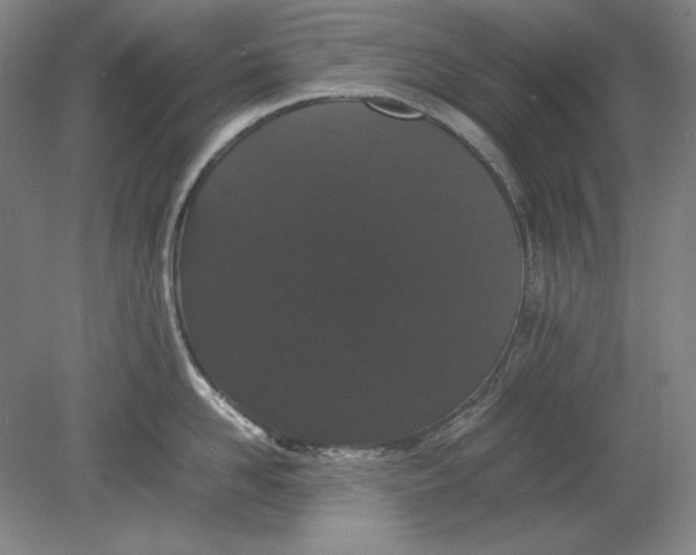 X0000080730958200701021117