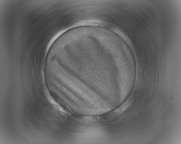 X0000080730960200701021117