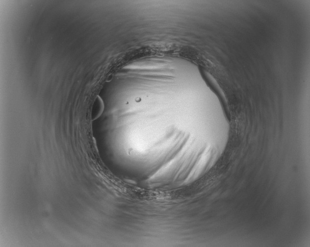 X0000080730961200701021116