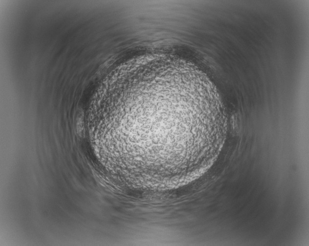 X0000080730963200701021116