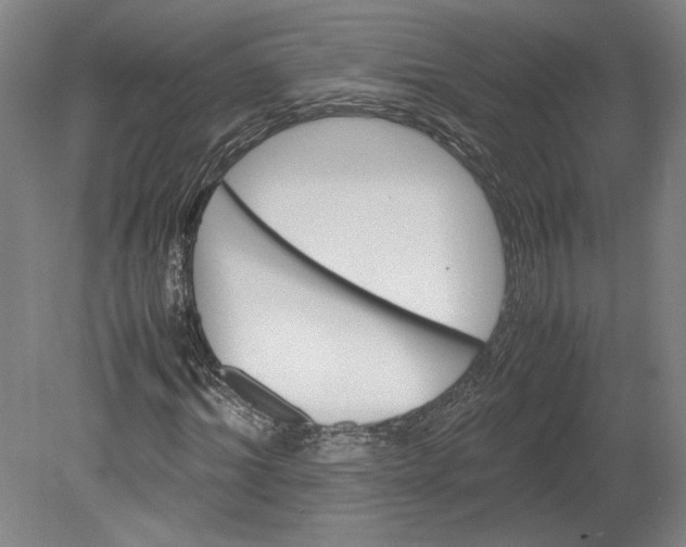 X0000080730964200701021116